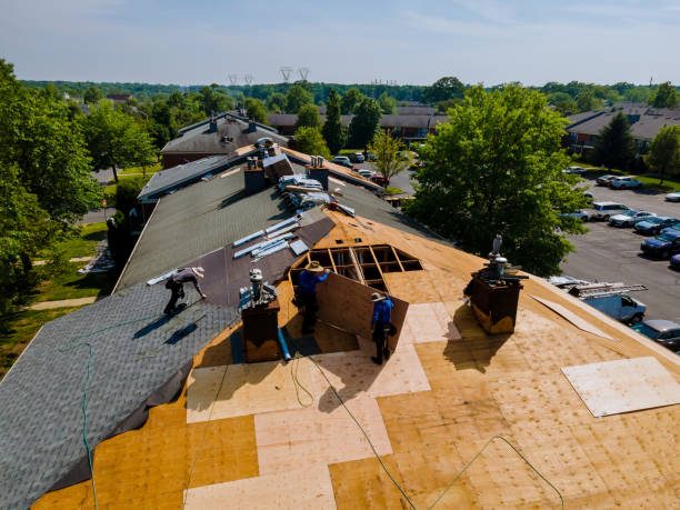 Roof Installation Near Me in Shell Ridge, CA
