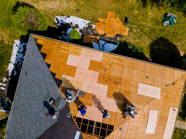 Best Affordable Roof Replacement  in Shell Ridge, CA