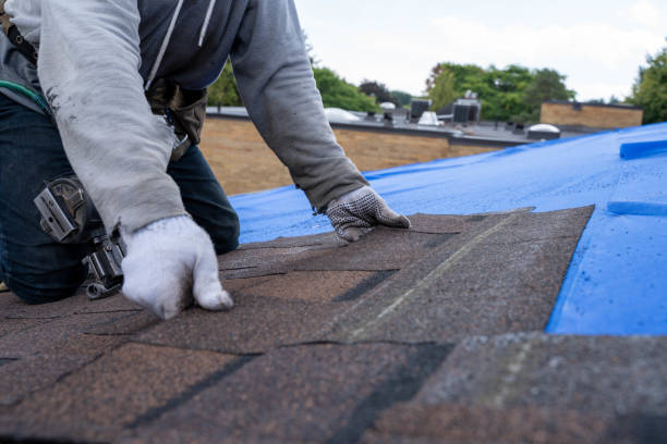 Best Metal Roofing Contractor  in Shell Ridge, CA