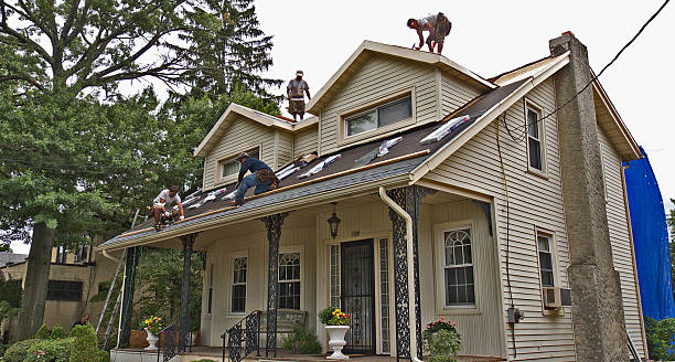 Best Roof Gutter Cleaning  in Shell Ridge, CA